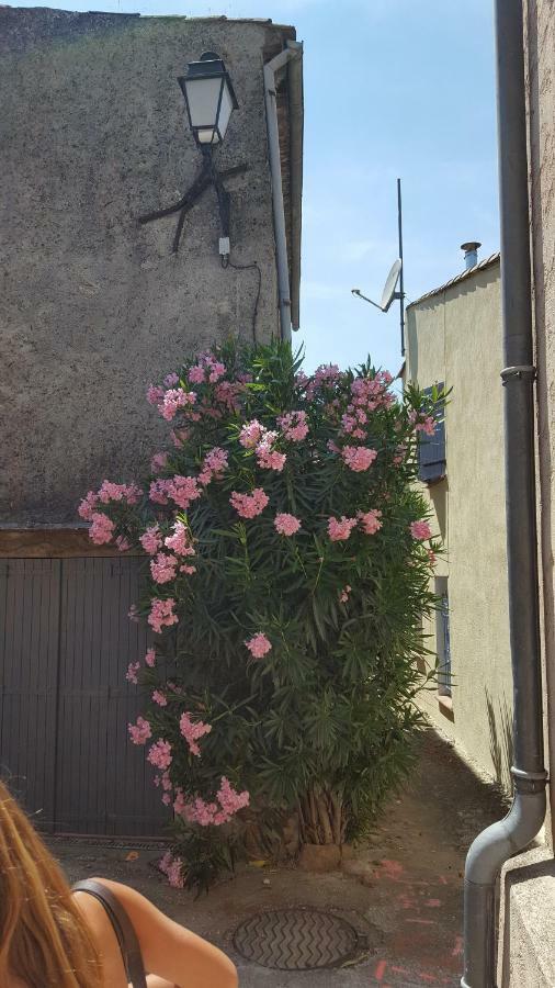 فيلا La Petite Chataigne De Collobrières المظهر الخارجي الصورة